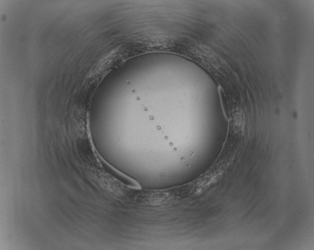 X0000071830916200607211758