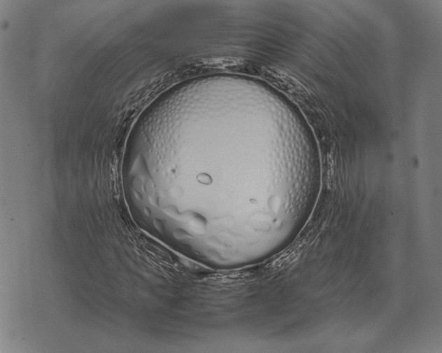 X0000071830917200607211758