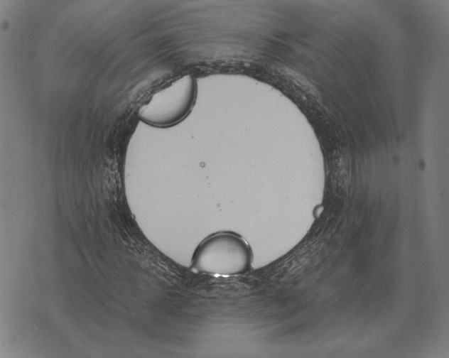 X0000071830918200607211758