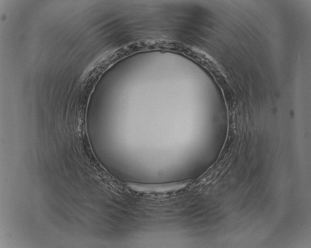 X0000071830919200607211758