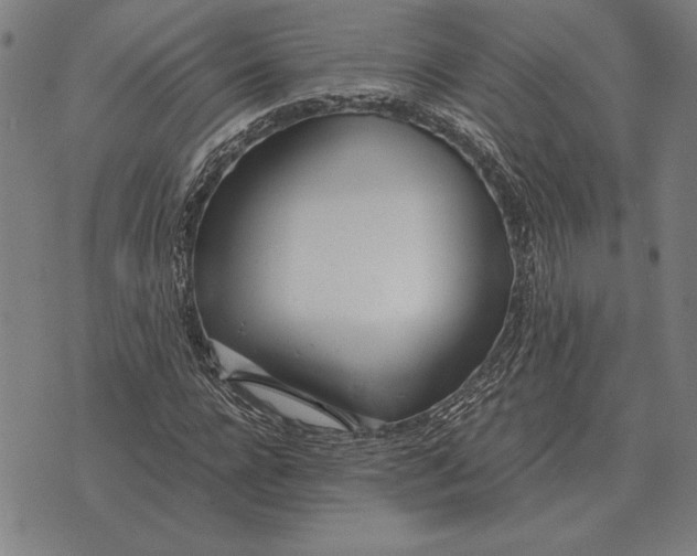 X0000071830920200607211758