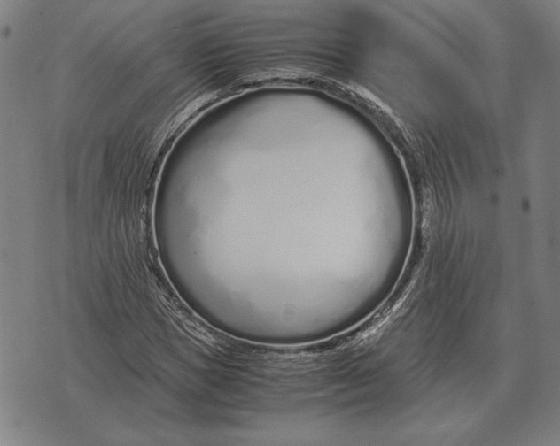 X0000071830921200607211758