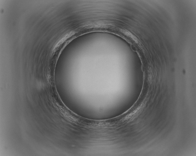 X0000071830922200607211758