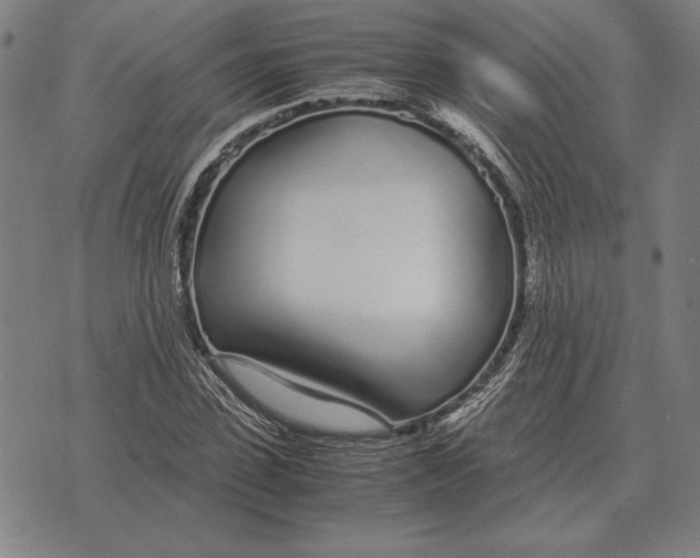 X0000071830923200607211758