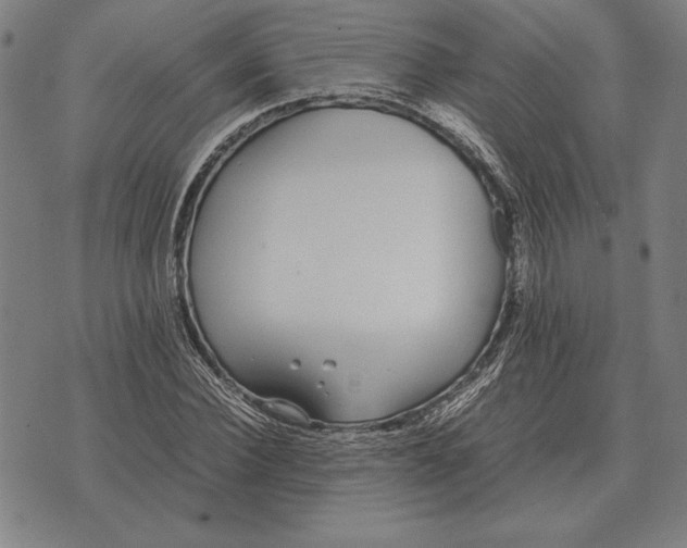 X0000071830924200607211758