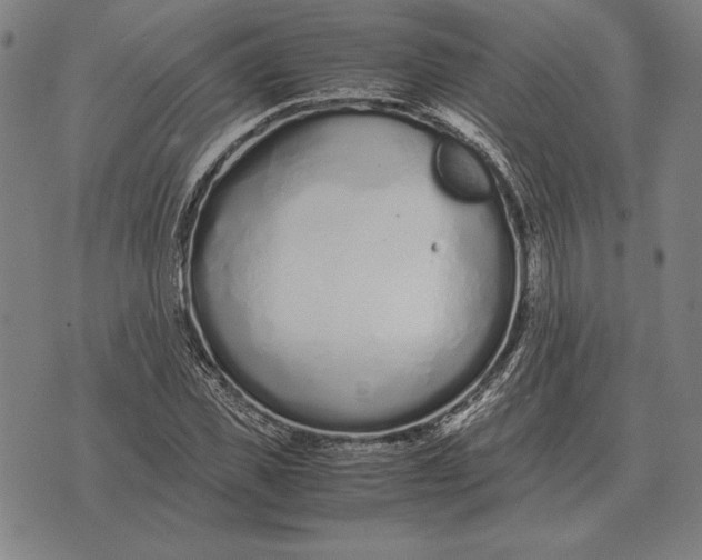 X0000071830925200607211758