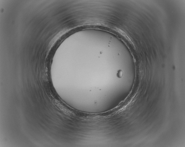 X0000071830926200607211758