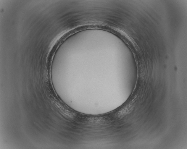 X0000071830927200607211758