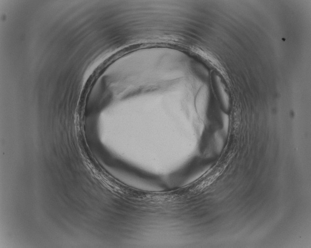 X0000071830928200607211758