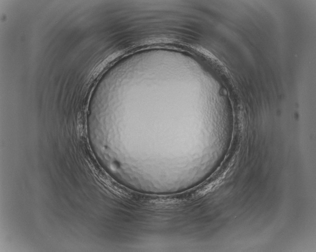 X0000071830929200607211758