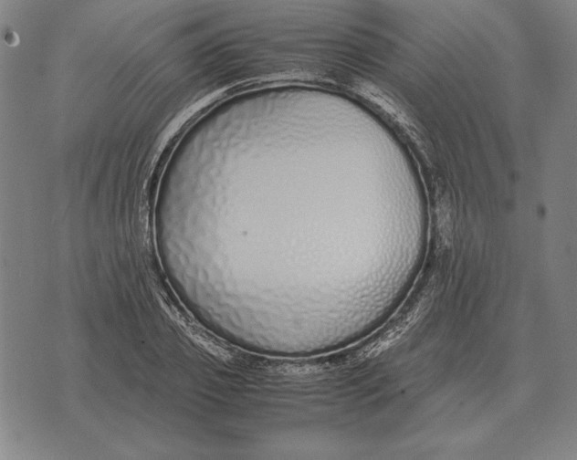 X0000071830933200607211758