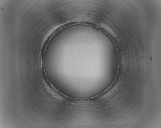 X0000071830934200607211758