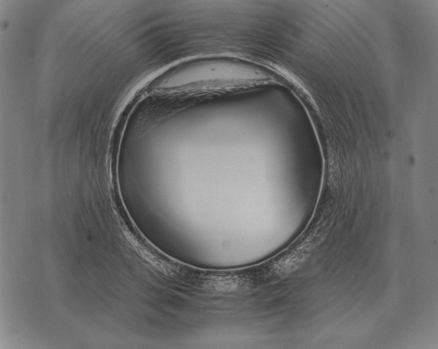 X0000071830935200607211758