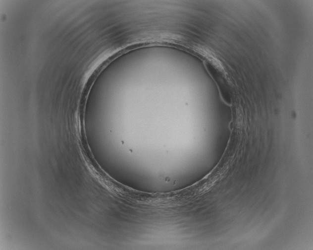 X0000071830936200607211758