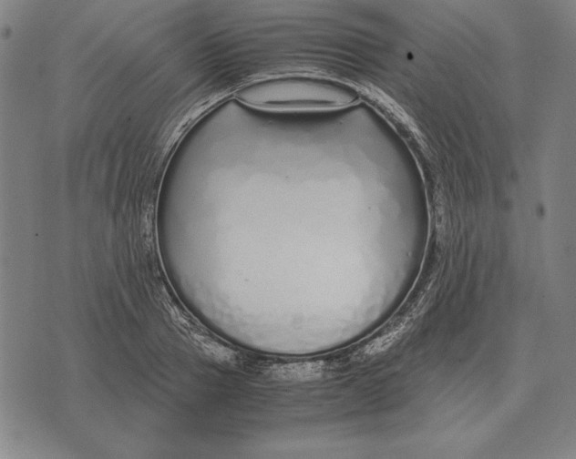 X0000071830937200607211758