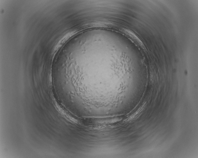 X0000071830938200607211758