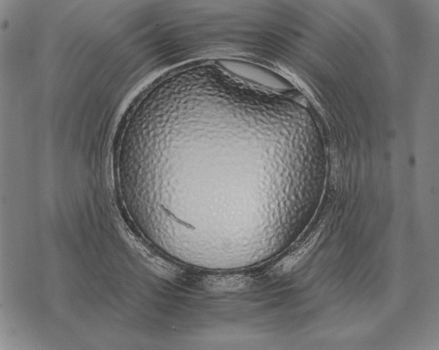 X0000071830939200607211758