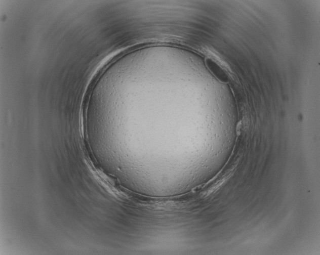 X0000071830940200607211758