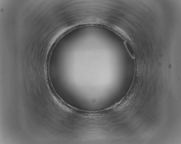 X0000071830942200607211758