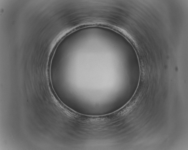 X0000071830943200607211758