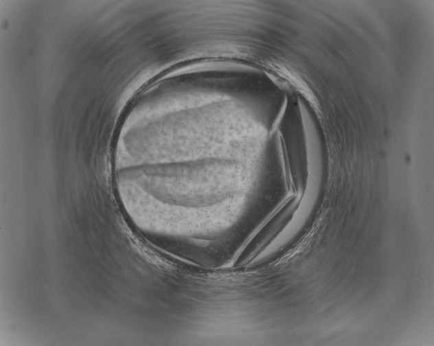 X0000071830944200607211758