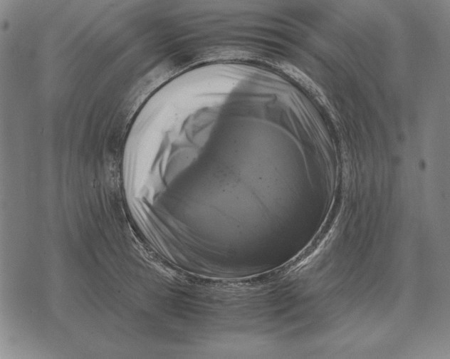 X0000071830945200607211758