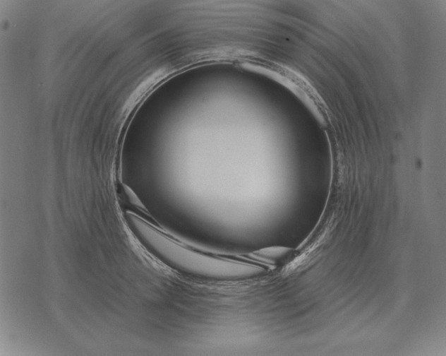 X0000071830946200607211758