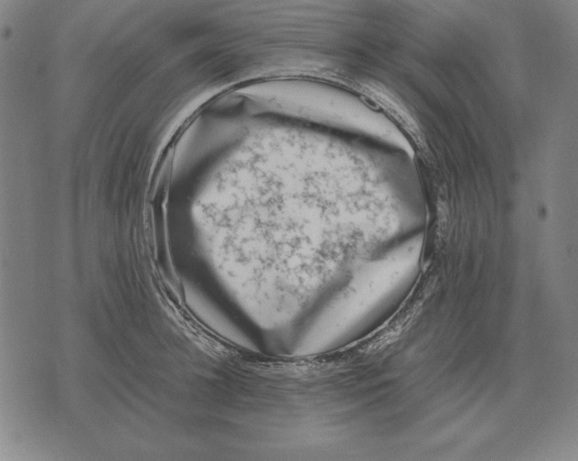 X0000071830948200607211758