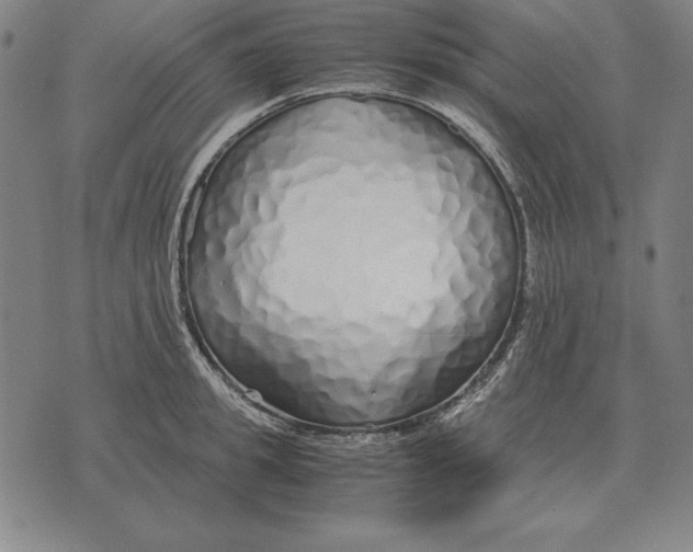 X0000071830949200607211758