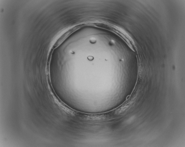 X0000071830951200607211758