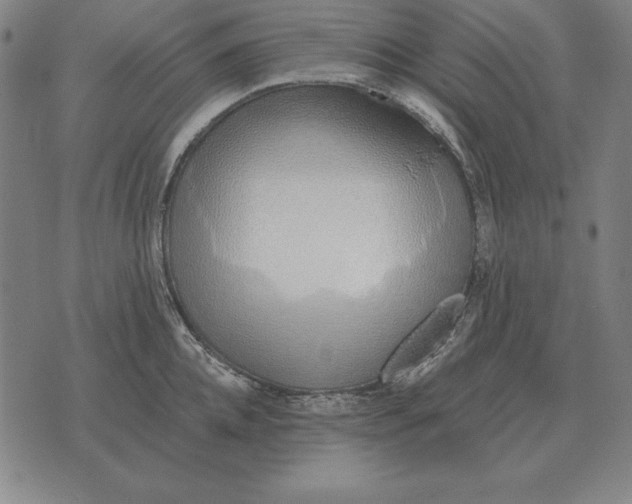 X0000071830952200607211758