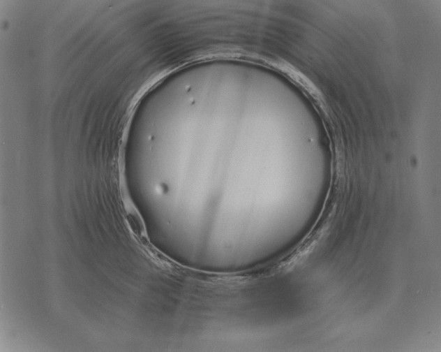 X0000071830953200607211758