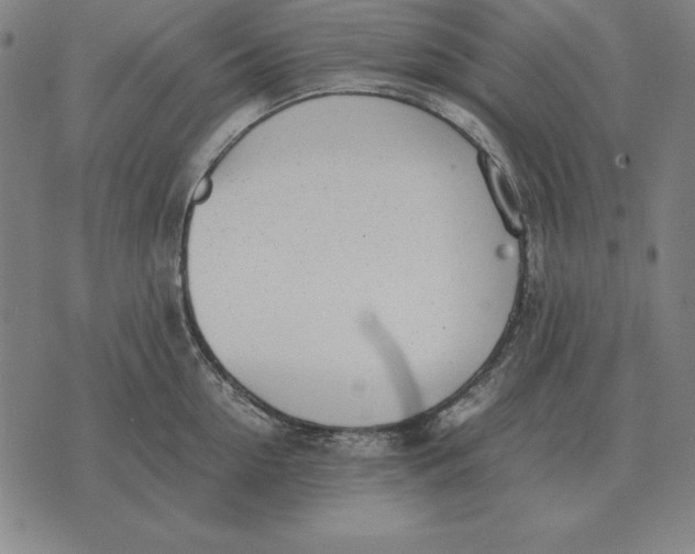 X0000071830954200607211758