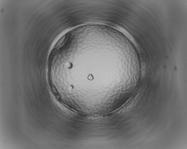 X0000071830955200607211758