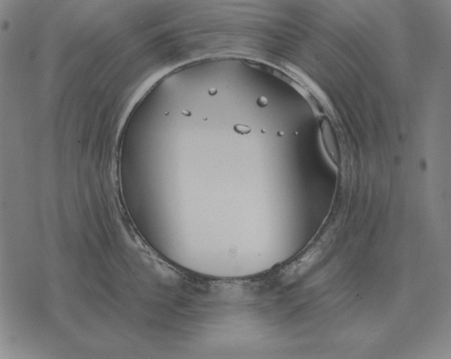 X0000071830956200607211758