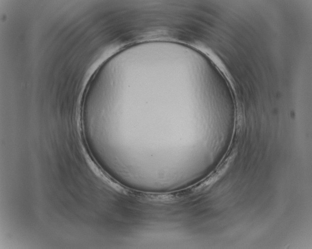 X0000071830957200607211758