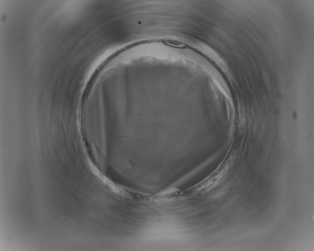 X0000071830958200607211758