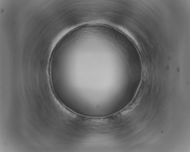 X0000071830959200607211758