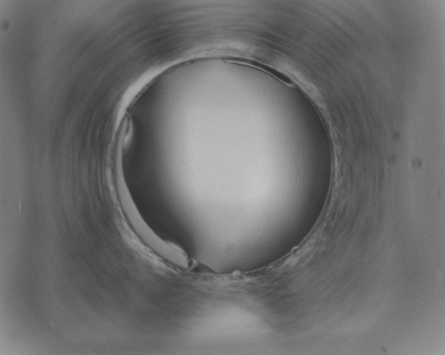 X0000071830960200607211758