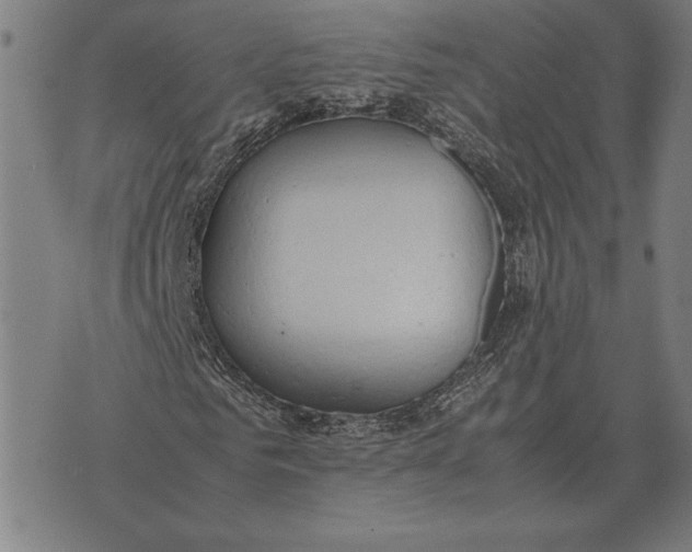 X0000071830961200607211758