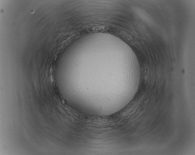 X0000071830962200607211758