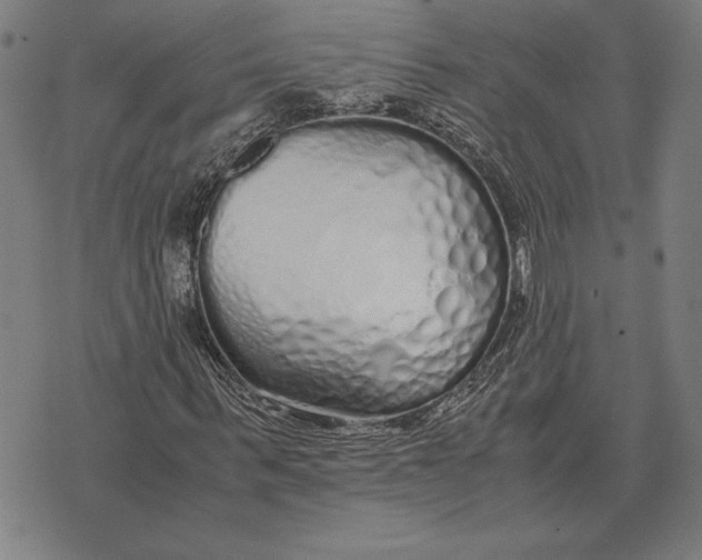 X0000071830963200607211758