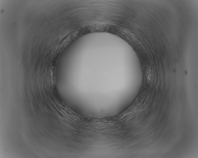 X0000071830964200607211758