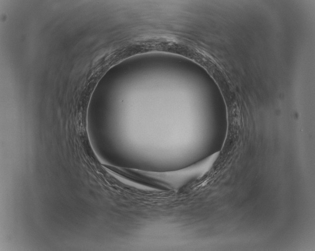 X0000071830965200607211757