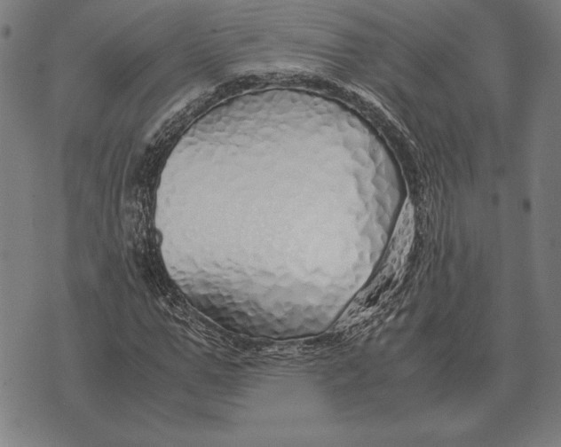 X0000071830967200607211757