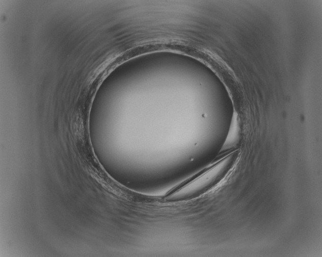 X0000071830969200607211757