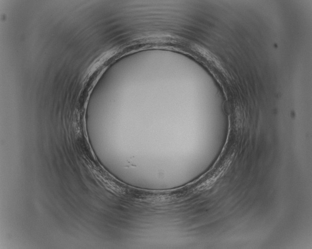 X0000071830970200607211757