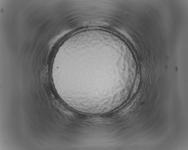 X0000071830971200607211757