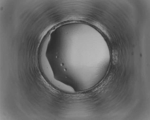 X0000071830972200607211757