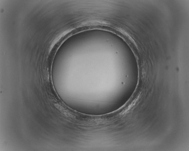 X0000071830973200607211757